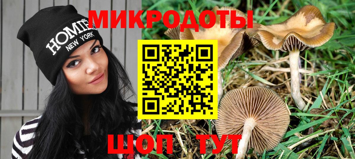 Галлюциногенные грибы MAGIC MUSHROOMS  Псилоцибиновые грибы Psilocybe  Реутов  Вход с VPN 