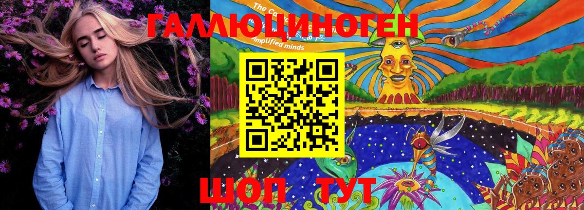 Галлюциногенные грибы Psilocybe Реутов